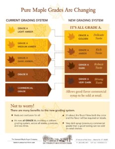 Maple syrup grade chart old and new